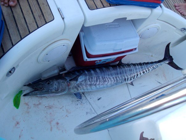 Thematic Sailing Workshops in Panama