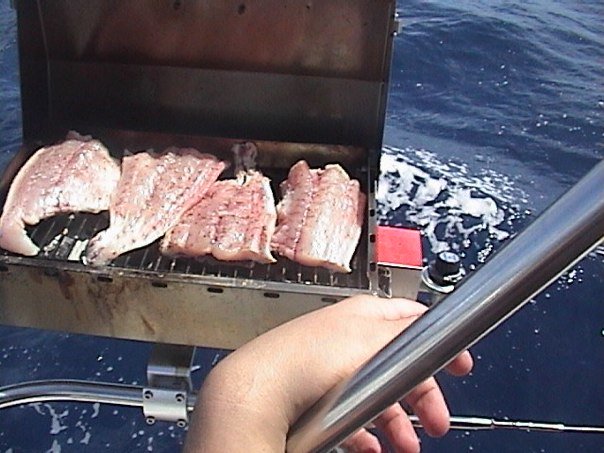 Thematic Sailing Workshops in Panama