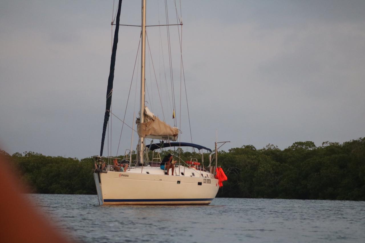 Curso Intermedio de Navegación de Veleros. -ISSA Inshore Skipper- en Colombia
