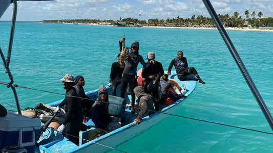 Curso Intensivo de Navegación de Veleros.  - ISSA Inshore Skipper- en República Dominicana