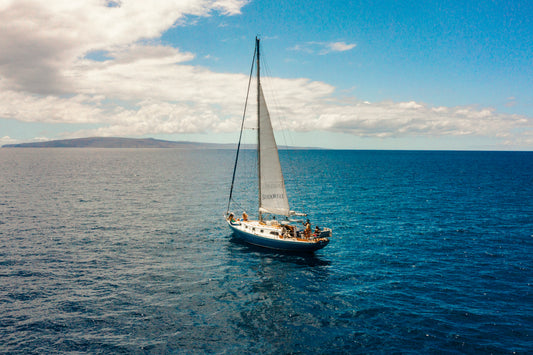 Veleros y Catamaránes